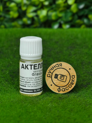 Инсектицид Актеллик 10 мл