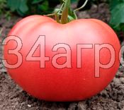 Томат Волгоградские Зори 20г