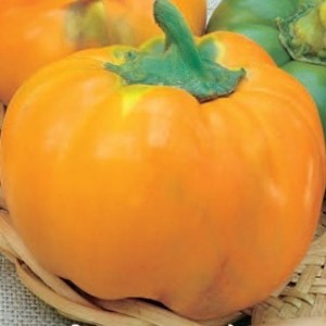 Перец Оранжевый Юбилейный 50 гр.